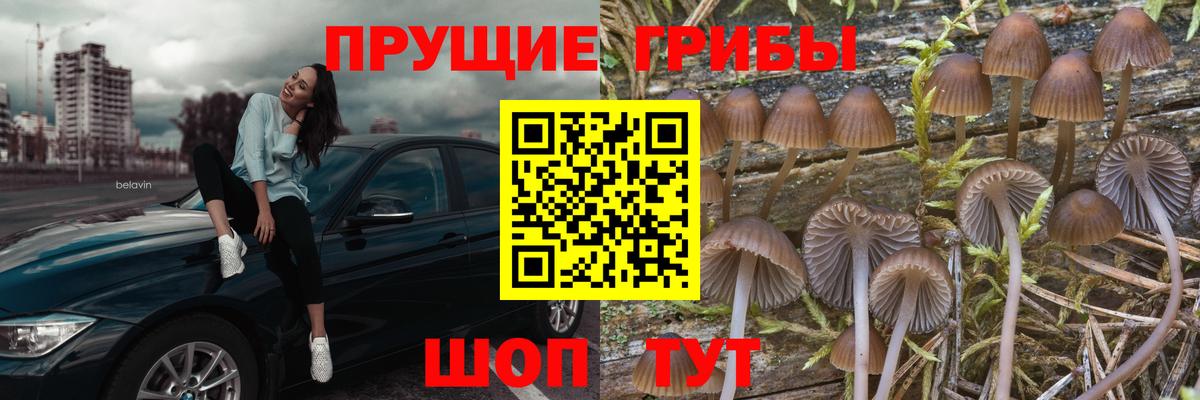 Псилоцибиновые грибы Magic Shrooms  Вход с VPN  Красноуфимск  Псилоцибиновые грибы MAGIC MUSHROOMS 